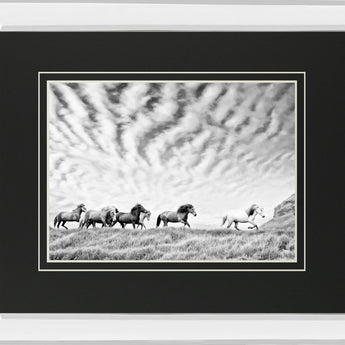 Horse Run III By PHBurchett - Gray
