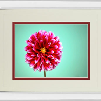 Zenia By Gail Peck - Mirror Framed Print Wall Art - Pink