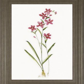 22x26 Delicate I By Sally Swatland - White