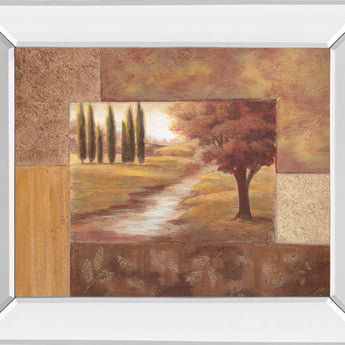 Peaceful Stream Il By Vivian Flasch - Mirror Framed Print Wall Art - Dark Brown