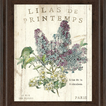 Lilas De Printemps By Sue Schlabach - Beige
