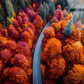 Autumn Bend Tempered Glass - Orange / Red