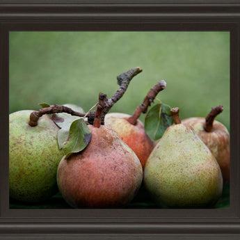 Comice Pear I By Rachel Perry - Framed Print Wall Art - Green