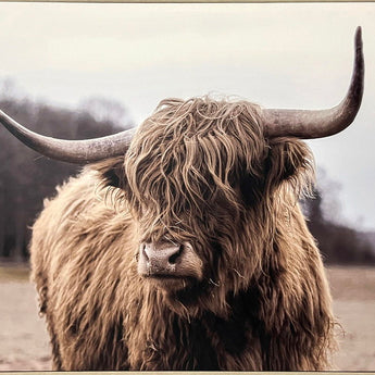 "Majestic Highland" Canvas In Frame - Brown