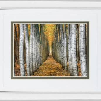 Tree Farm By Cahill - Mirror Framed Print Wall Art - Yellow
