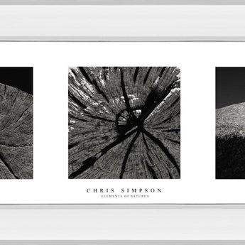 Elements Of Nature 2 By Chris Simpson - Mirror Framed Print Wall Art - Black