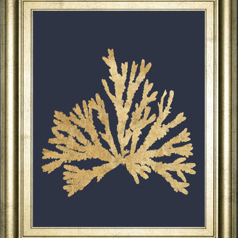 Pacific Sea Mosses IV Indigo By Wild Apple Portfolio - Framed Print Wall Art - Dark Gray