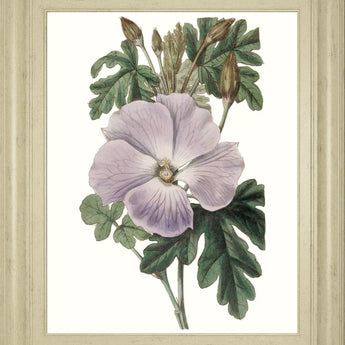 22x26 Lavender Beauties I By Edwards - Purple