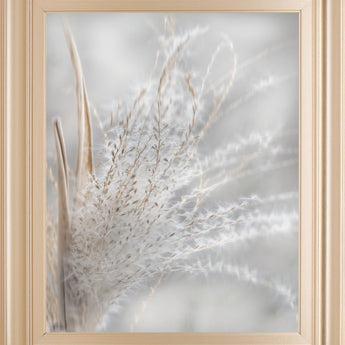 22x26 Summer Wisps I By Irene Weisz - Pearl Silver