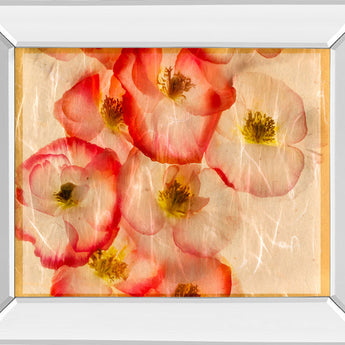 Papaver Dreams III By Harold Davis - Mirror Framed Print Wall Art - Red