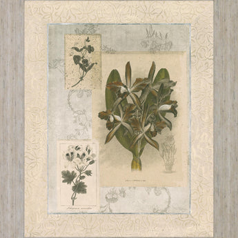 Vintage Botanical - 28" x 34" Framed Wall Art - Beige