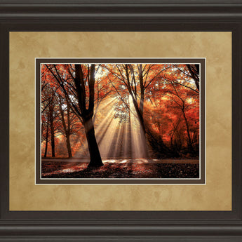 Dressed To Shine By Lars Van De Goor - Framed Print Wall Art - Red