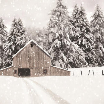 North Country By Lori Deiter (Framed) - Beige