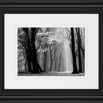 Winter Is Coming By Lars Van De Goor - Framed Print Wall Art - Black