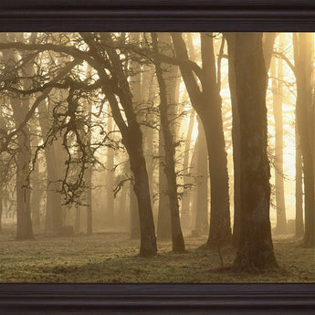 Misty Golden Grove - 28" x 34" Framed Wall Art - Light Brown