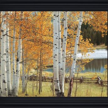 Golden Grove Serenity - 28" x 34" Framed Wall Art - Orange