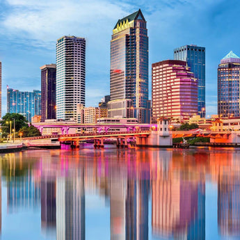 Tempered Glass With Foil - Tampa Bay - Light Blue