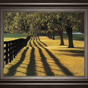 Chasing Shadows By Mike Jones - Framed Print Wall Art - Green