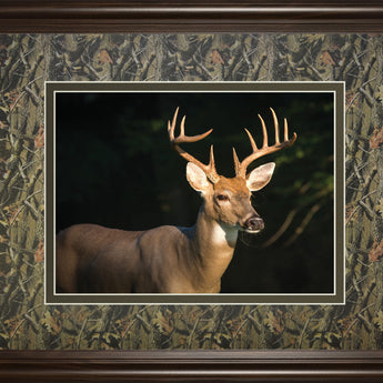 White Tail Buck By Tony Campbell Double Matted - Framed Print Wall Art - Black