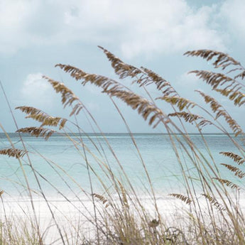 Solitude Beach By Danita Delimont (Small) - Light Blue