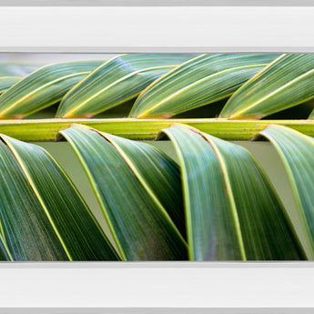 Palma I By Susan Bryant - Mirror Framed Print Wall Art - Green