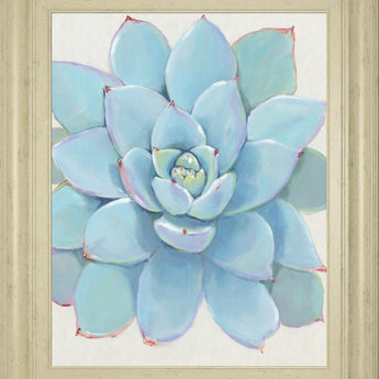 22x26 Pastel Succulent I By Tim OToole - Light Blue