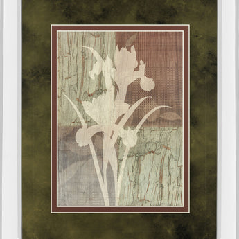 Iris Silhouette By Various - Mirror Framed Print Wall Art - Light Brown