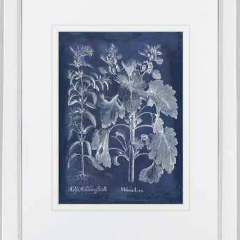 Besler Leaves in Indigo I By Vision Studio - Blue