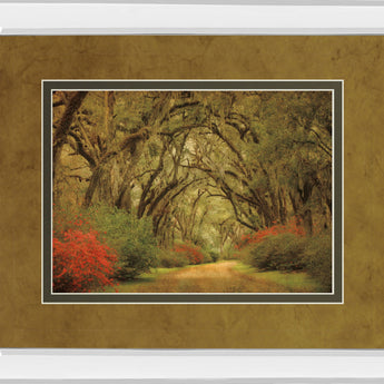 Road Lined With Oaks & Flowers By William Guion And Mossy Oak Native Living - Mirror Framed Print Wall Art - Green