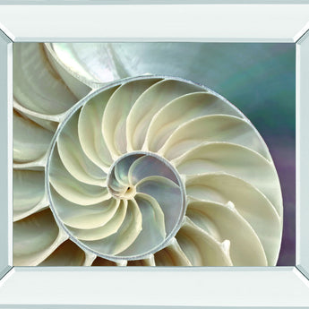 Nautilus By Levine, A. - Mirror Framed Print Wall Art - Beige