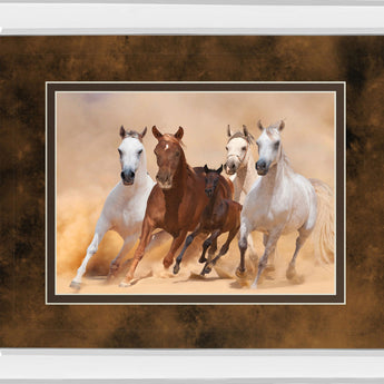 Horses In Dust By Loya_ya - Mirror Framed Print Wall Art - Dark Brown