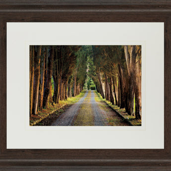 Tree Tunnel By Michael Tunnel And Mossy Oak Native Living - Framed Print Wall Art - Green