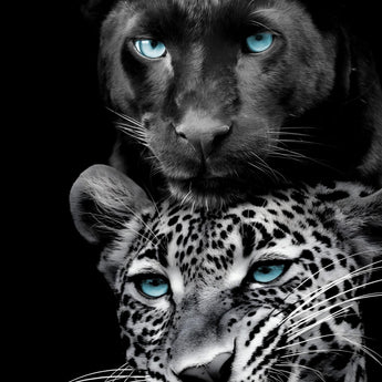 Azure Gaze Duo - 40" x 60" Framed Wall Art - Black