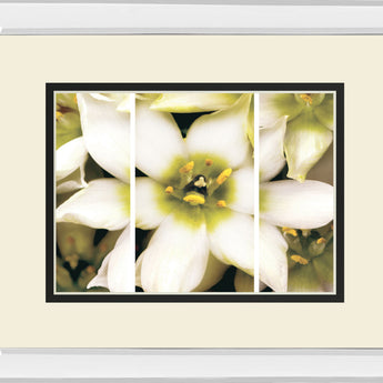 Star Of Bethlehem Triptych By Levine A. Mirrored Frame - Beige