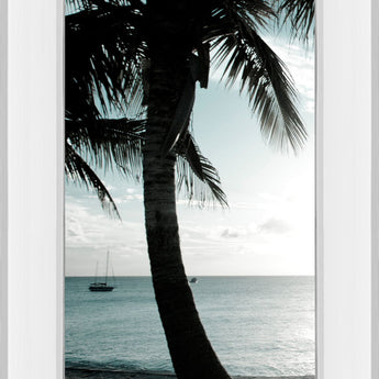Cool Bimini Palms Il By Susan Bryant - Mirror Framed Print Wall Art - Black