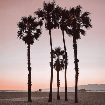 Santa Monica Pinks By Natalie Carpentieri (Framed) - Pink