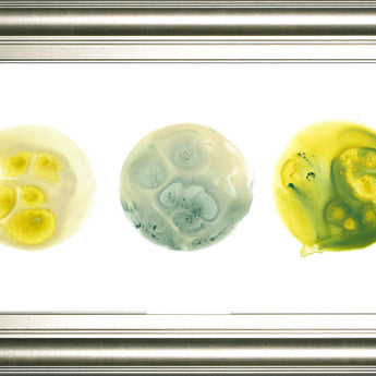 Planetary VIII By June Erica Vess - Framed Print Wall Art - Yellow