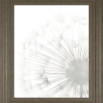22x26 Dandelion Whisper II By Grace Popp - Pearl Silver