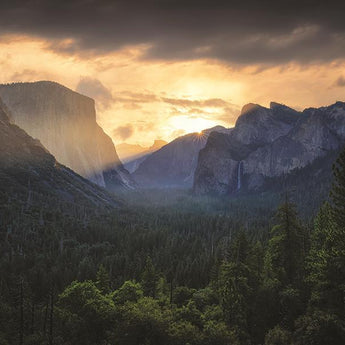 Yosemite Dreams By Martin Podt Photography (Framed Small) - Dark Green