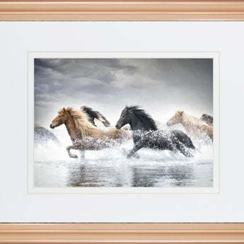 34x40 Horse Run V By PHBurchett - Gray