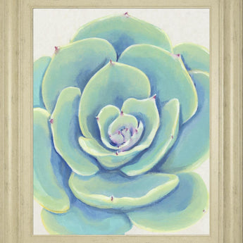 22x26 Pastel Succulent IV By Tim OToole - Light Blue