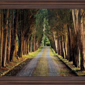 Woodland Passage - 28" x 34" Framed Wall Art - Green