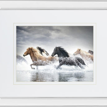 Horse Run V By PHBurchett - Gray