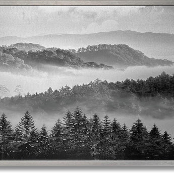 Misty Pine Veil - 32" x 47" Framed Wall Art - Gray