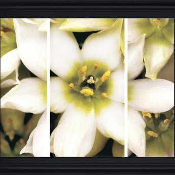 Ivory Petal Radiance - 28" x 34" Framed Wall Art - Beige