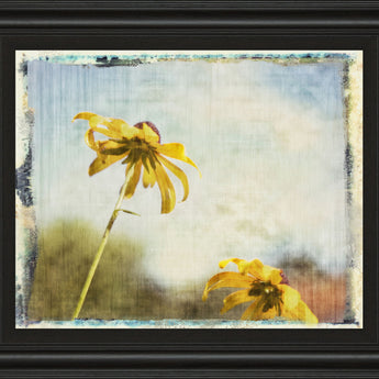 Blackeyed Susan Il By Meghan Mcsweeney - Framed Print Wall Art - Light Blue