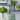 Bellvale - Pillow (Set of 4) - Green / White