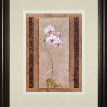 Contemporary Orchid I By Carney - Framed Print Wall Art - Pink