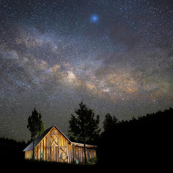 Tempered Glass With Foil - Starry Barn - Dark Gray