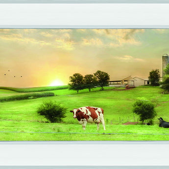 Blessed Morning By Lori Deiter - Mirror Framed Print Wall Art - Green
